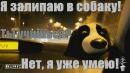 Іван Рекутін фотография #2 (источник - https://vk.com/id162758207)