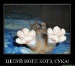 Фотография Саяпиной Анны