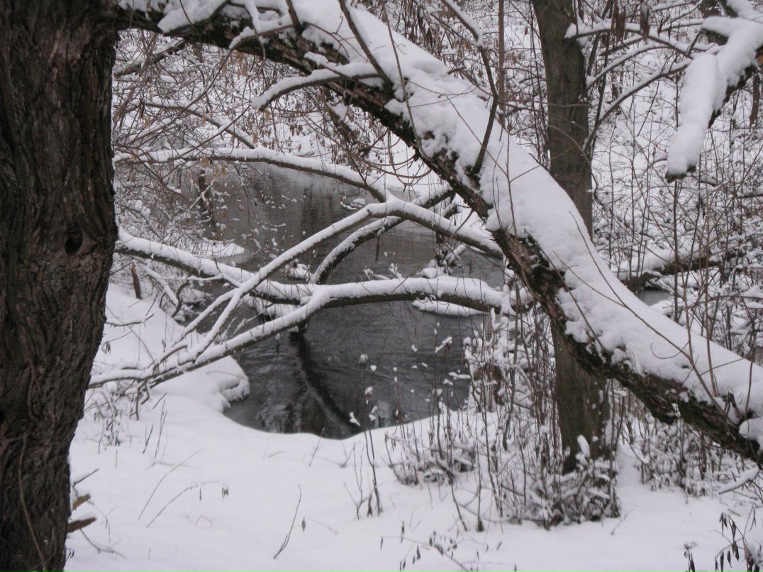 Мария Бильчук фотография #11