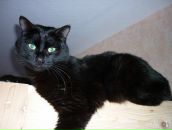 Фотография Малышевой Елены