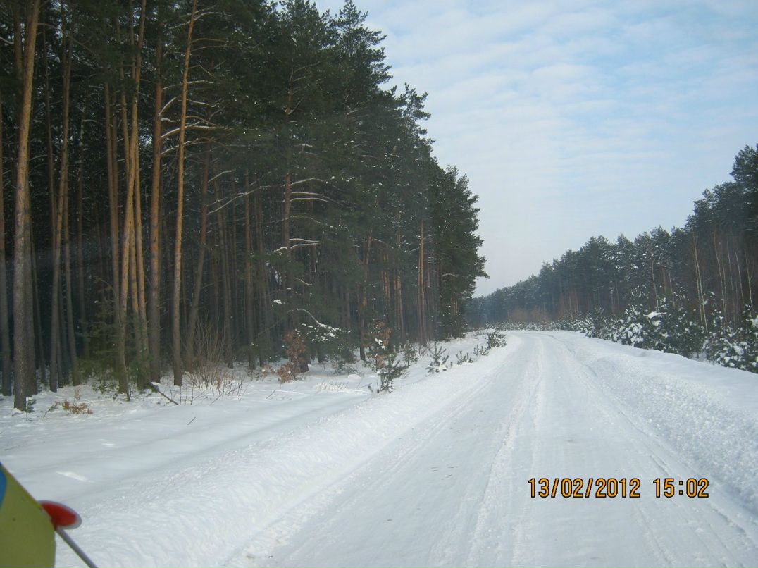 Николай Бебко фотография #35