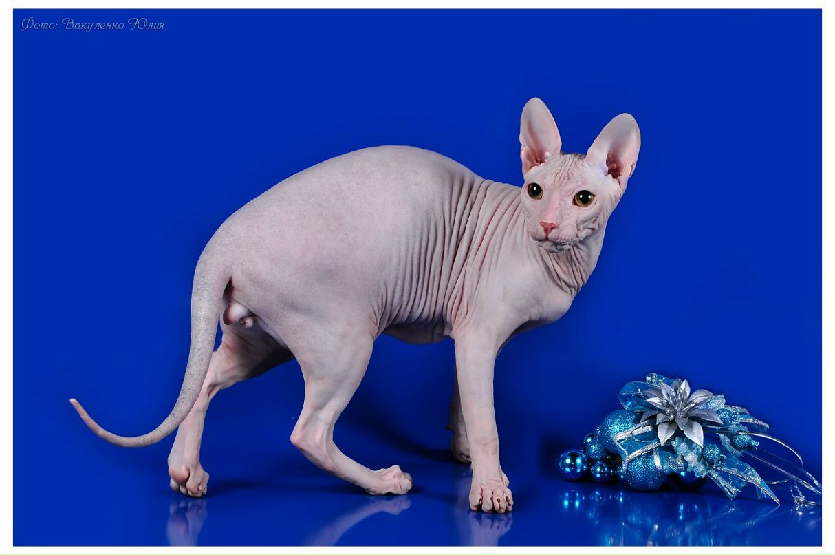 Зоя Плотникова фотография #49