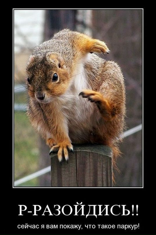 Михаил Копейка фотография #48