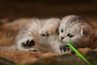 Фотография Бессоновой Марии