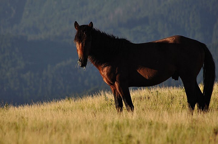 Sergey Vosmirko фотография #43