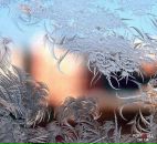 Фотография Мирошниченко Ирины