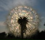 Фотография Ханны Евгении