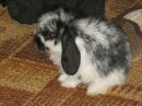 Фотография Трофимова Дениса