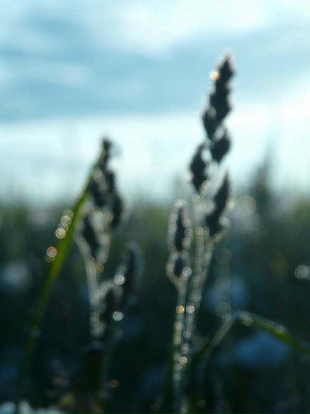 Тёма ... фотография #30