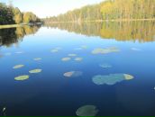 Фотография Николаевой Танюши