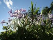 Фотография Погудиной Стаси