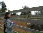 Фотография Шестаковой Кристины