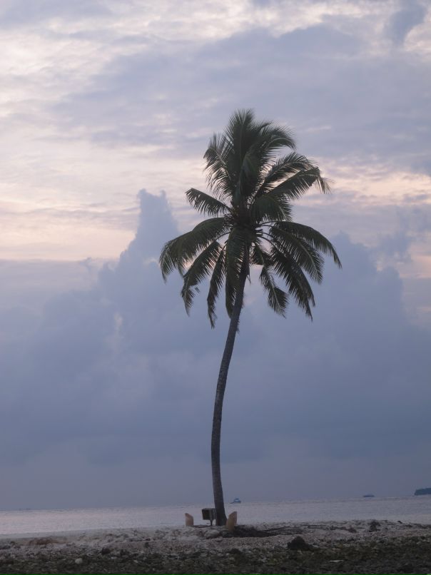 Alexey E фотография #26