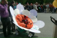 Фотография Бороздина Евгения