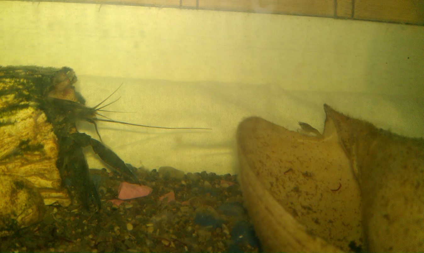 Сергей Коновалов фотография #25