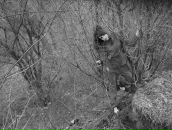 Діана Мигович-Калло фотография #23 (источник - https://vk.com/id64334410)