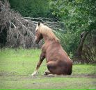 Фотография Александровой Татьяны