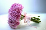 Ольга Кобзарь фотография #28 (источник - https://vk.com/id4876647)