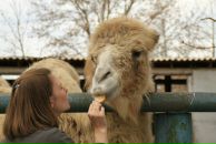 Фотография Востротиной Екатерины