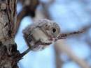 Фотография Нахимовой Екатерины