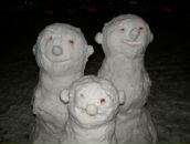 Фотография Васюковой Александры