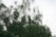 Фотография Юрьевой Татьяны