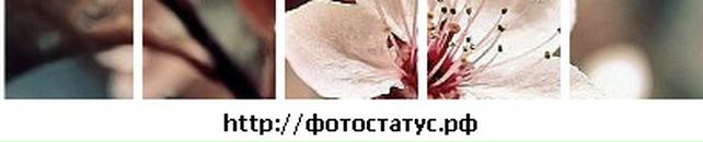 Ірина Нечипорук фотография #33 (источник - https://vk.com/id97176456)