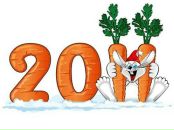 Іра Гудимка фотография #27 (источник - https://vk.com/id97342186)