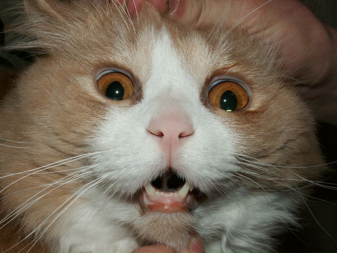 Максим Басов фотография #40