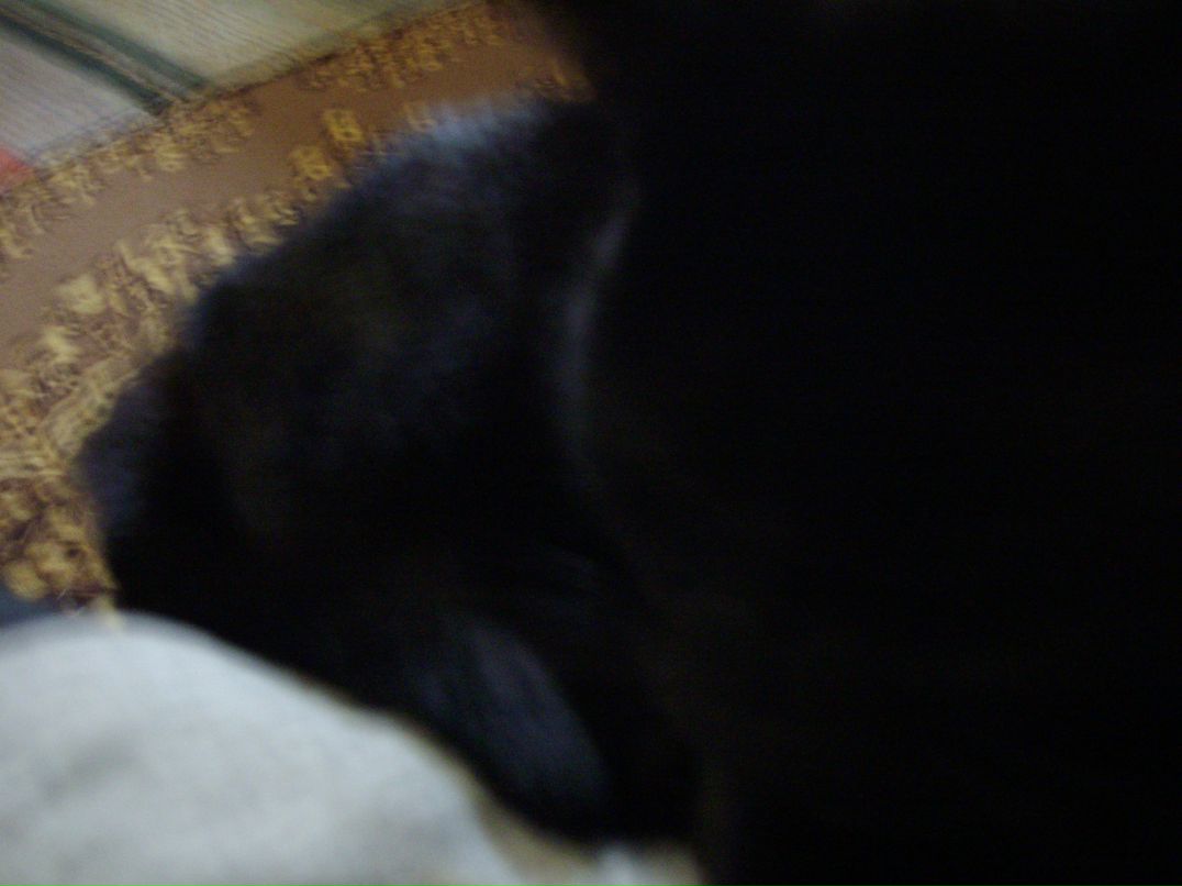 Дмитрий Муравьев фотография #24