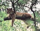 Юлія Макушинська фотография #11 (источник - https://vk.com/id165515991)