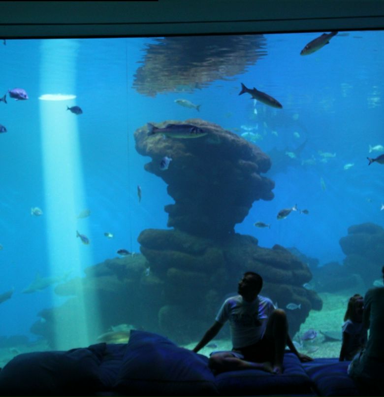 Женя Фёдоров фотография #26