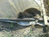 Ігор Нудик фотография #40 (источник - https://vk.com/id28342410)