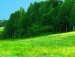 Денис Олейник фотография #36 (источник - https://vk.com/id78411823)