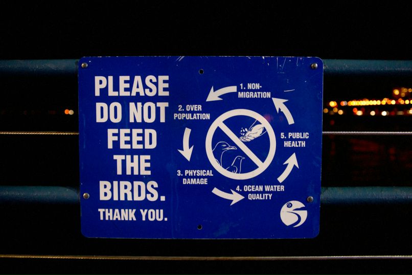 Игорь Свенцицкий фотография #12