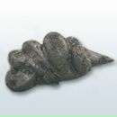 Денис Жажакін фотография #14 (источник - https://vk.com/id138610826)