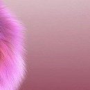 Олеся Вуйців фотография #27 (источник - https://vk.com/id74029763)