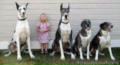 Святослав Лаврів фотография #18 (источник - https://vk.com/id99888251)