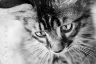 Фотография Мальцевой Яны