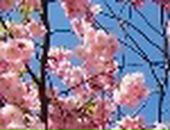 Люба Малаканова фотография #23 (источник - https://vk.com/id2996120)