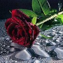 Фотография Куликовой Татьяны