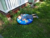 Фотография  