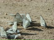 Фотография Карулиной Галины