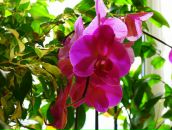 Валерій Пушкар фотография #29 (источник - https://vk.com/id5276495)