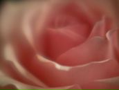 Фотография Семеновой Валентины