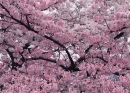 Фотография Людмила Баландина