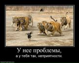 Андрій Дерпак фотография #11 (источник - https://vk.com/id40857953)