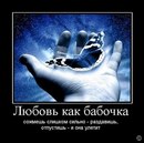 Фотография Markova Anastasia