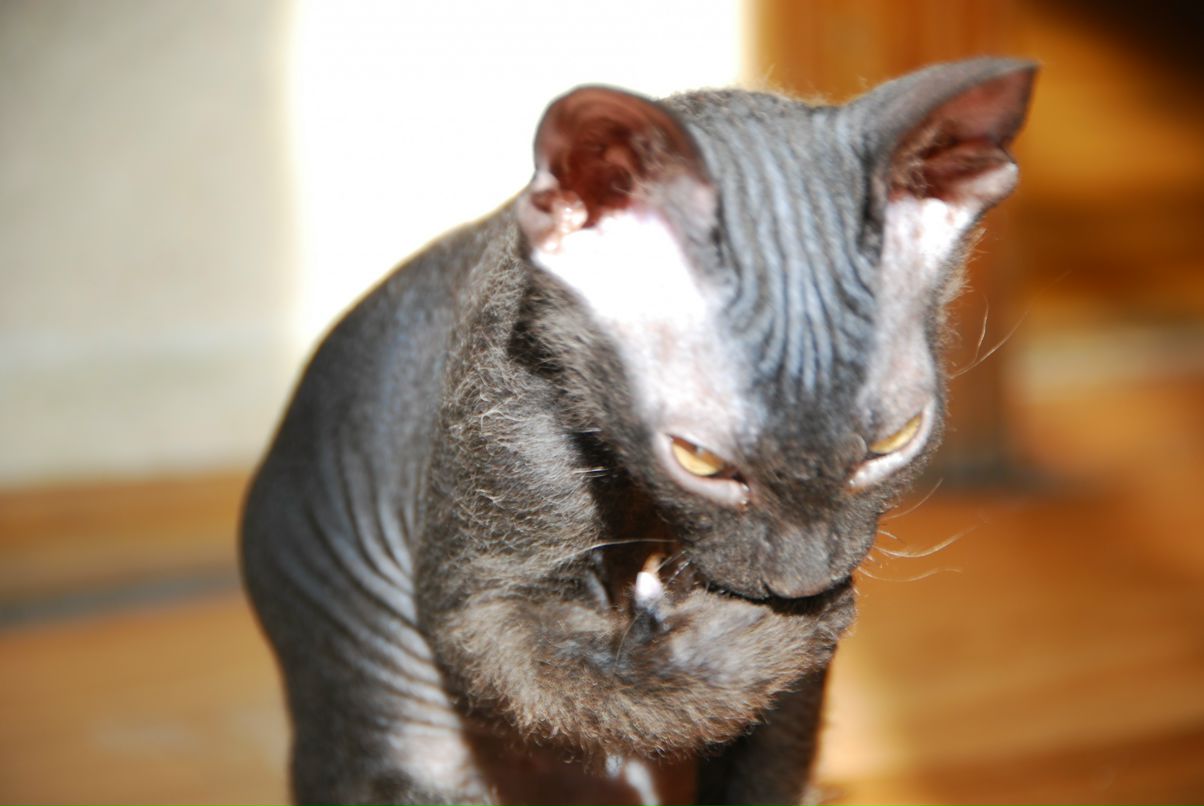 Даниил Стариченко фотография #42