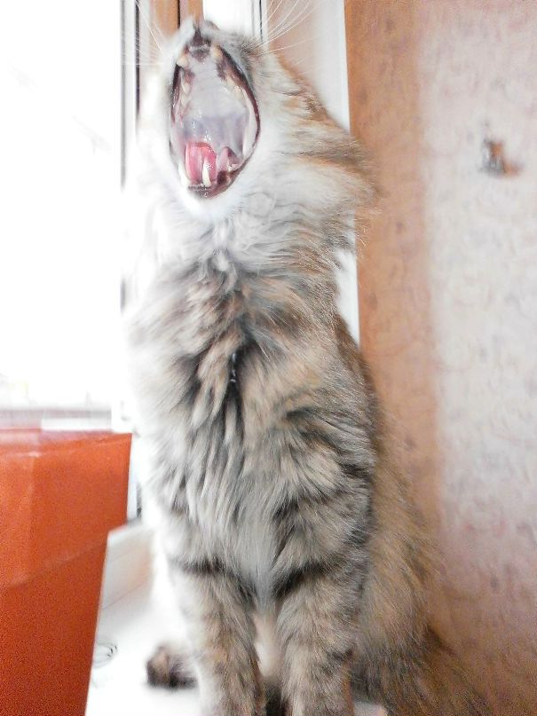Софья Урманчеева фотография #40